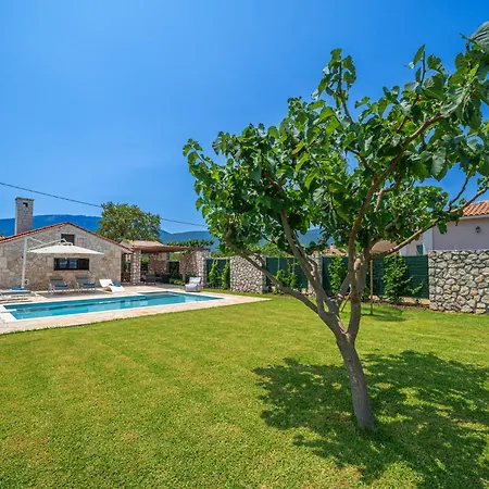 τheano * Sami (Kefalonia)